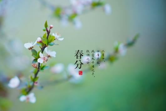 春分立雞蛋有什么說(shuō)法?春分雞蛋為什么能立起來(lái)