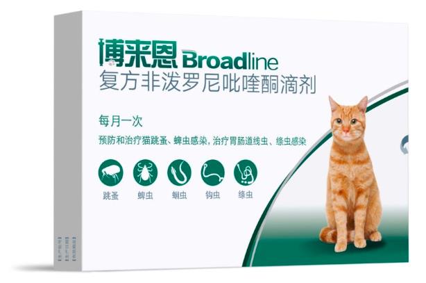 為什么要空腹給貓?bào)w內(nèi)驅(qū)蟲(chóng)?