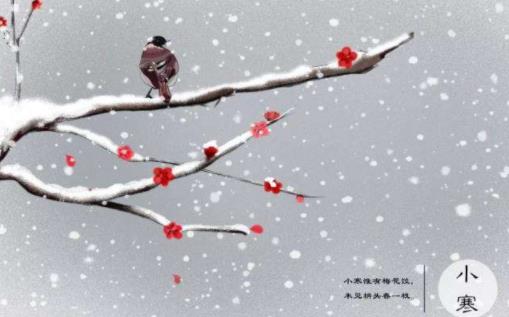 小寒白天長(zhǎng)還是夜晚長(zhǎng) 先小寒還是先大寒