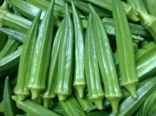 秋葵不開花結(jié)果的原因有哪些?秋葵葉子發(fā)黃是缺水嗎