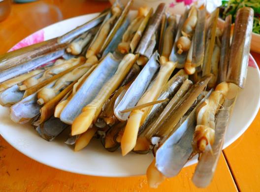 為什么撒鹽蟶子不出來(lái)?抓蟶子怎么撒鹽