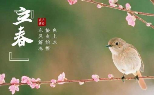 立春還會(huì)冷多久 2022年立春后還會(huì)倒春寒嗎