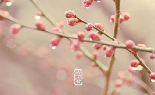 立春意味著天氣變暖嗎 什么節(jié)氣過后天氣變暖