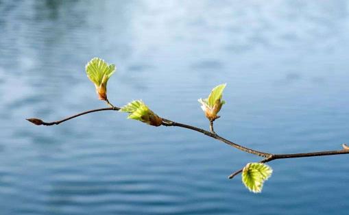 立春意味著天氣變暖嗎 什么節(jié)氣過后天氣變暖