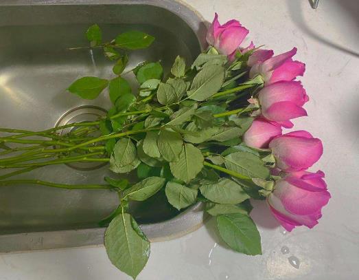 醒花的時(shí)候要不要放保鮮劑?醒花用深水還是淺水