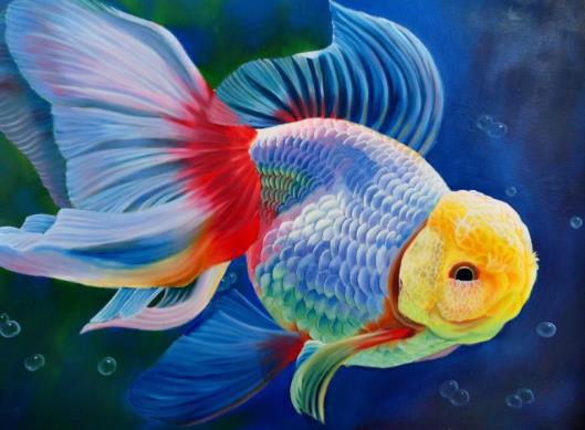 養(yǎng)金魚適合什么水?金魚養(yǎng)幾條好