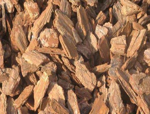 松樹皮適合養(yǎng)哪些植物?怎樣判斷松樹皮發(fā)酵好了