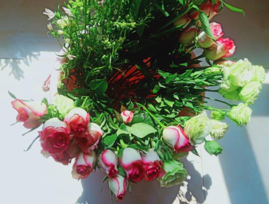 醒花只醒一個(gè)小時(shí)行嗎?醒花包裝要拿掉嗎