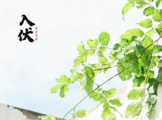 三伏天最高溫度能達(dá)到多少?2022年三伏天的起止時(shí)間