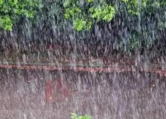 梅雨季節(jié)家里反濕怎么辦?梅雨季節(jié)為什么濕衣物不容易晾干