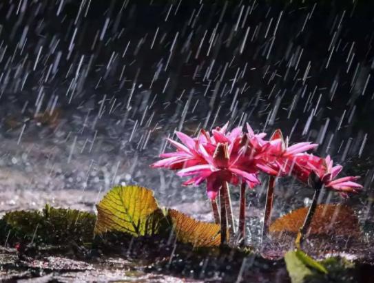梅雨季節(jié)家里反濕怎么辦?梅雨季節(jié)為什么濕衣物不容易晾干