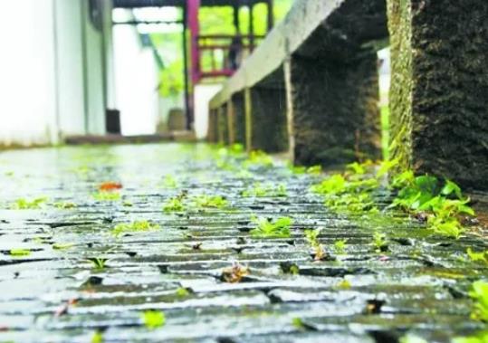蘇州的梅雨季節(jié)是幾月份到幾月份?蘇州梅雨季節(jié)在什么時(shí)候