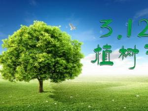 植樹節(jié)是幾月幾日？關于植樹節(jié)的由來和意義