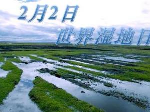 2月2日是什么節(jié)日？世界濕地日是幾月幾日