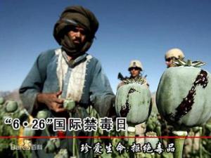 6月26日是什么節(jié)日？國際禁毒日是幾月幾日