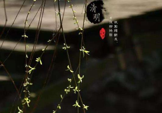 清明上墳?zāi)灭z頭的個(gè)數(shù)有講究嗎?上墳用的饅頭必須是圓形的嗎
