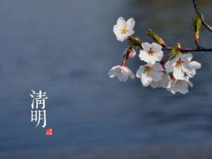 清明是什么時候？二十四節(jié)氣之清明的由來與含義