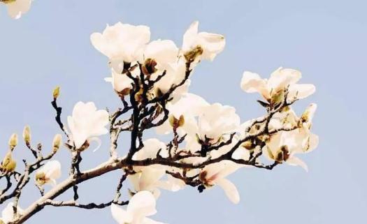 春分怎么養(yǎng)生?春分養(yǎng)生需要注意什么?