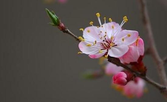 春分怎么養(yǎng)生?春分養(yǎng)生需要注意什么?