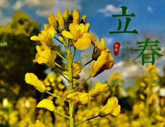立春為什么要放鞭炮?除夕逢立春結(jié)婚怎么化解