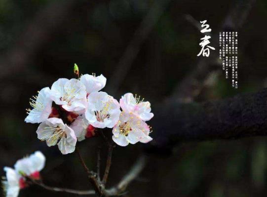 2022立春后天氣還會(huì)干燥嗎?2022年躲春如果在上班怎么辦