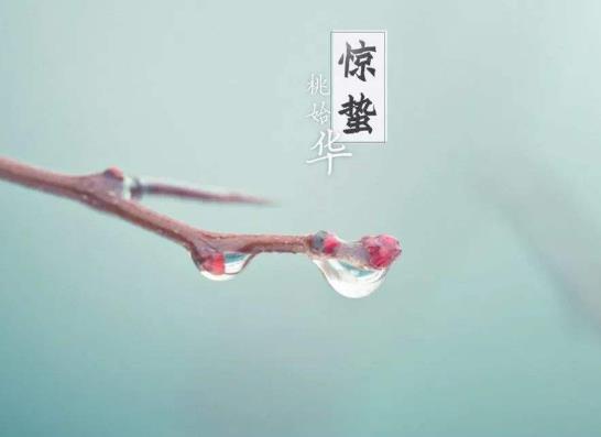 2023年農(nóng)歷驚蟄是什么時候?2022驚蟄是幾時幾分幾秒