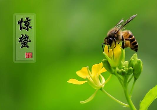 驚蟄是不是九滿了?2022年的驚蟄的農(nóng)歷幾月初幾