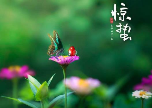 2022驚蟄是幾九?驚蟄都是每年的3月5日嗎