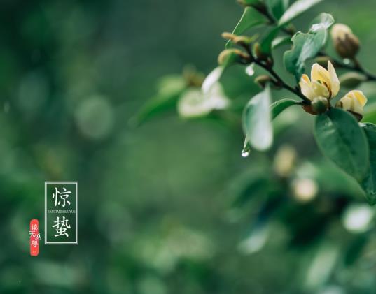 驚蟄有什么忌諱?驚蟄節(jié)氣要做哪些農(nóng)事