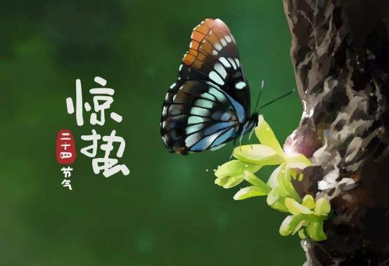 2022驚蟄是幾九?驚蟄都是每年的3月5日嗎