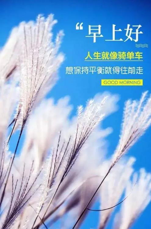 2020正能量勵志早安語錄,帶圖片早安正能量的好句子
