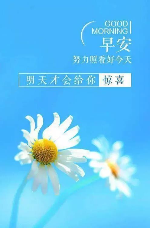 2020正能量勵志早安語錄,帶圖片早安正能量的好句子
