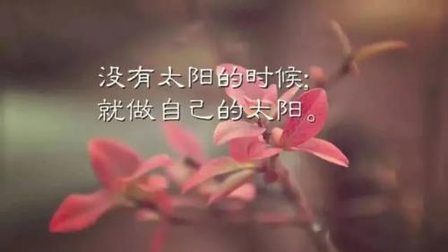 2020正能量勵志早安語錄,帶圖片早安正能量的好句子