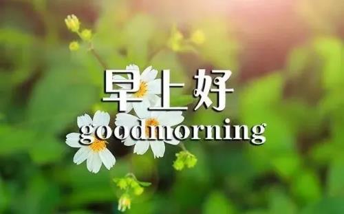 2020正能量勵志早安語錄,帶圖片早安正能量的好句子