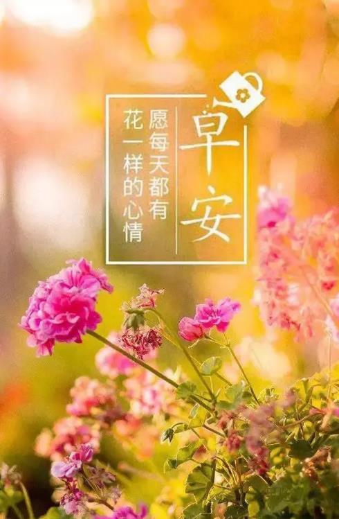 2020正能量勵志早安語錄,帶圖片早安正能量的好句子