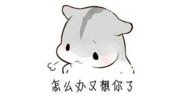 360截圖20211227135510923.jpg