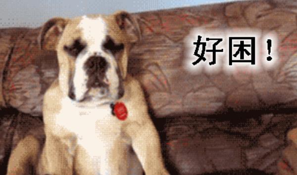 360截圖20220103191800591.jpg