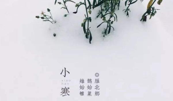 360截圖20220104181026598.jpg