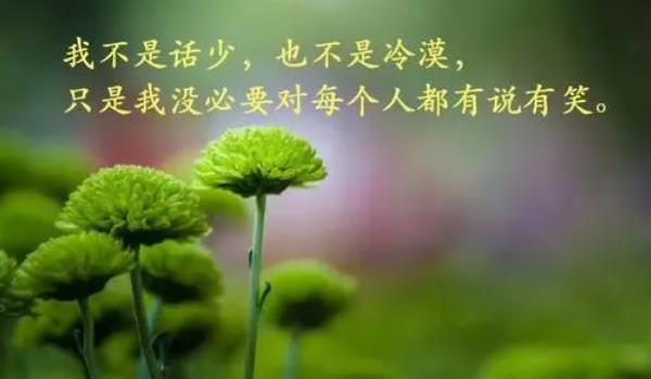 360截圖20220106193626093.jpg