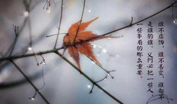 360截圖20220110180332046.jpg