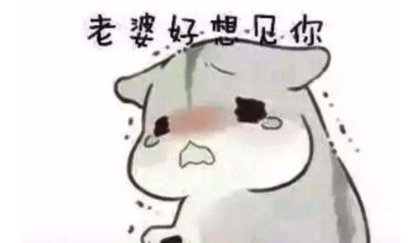 360截圖20220113213150616.jpg
