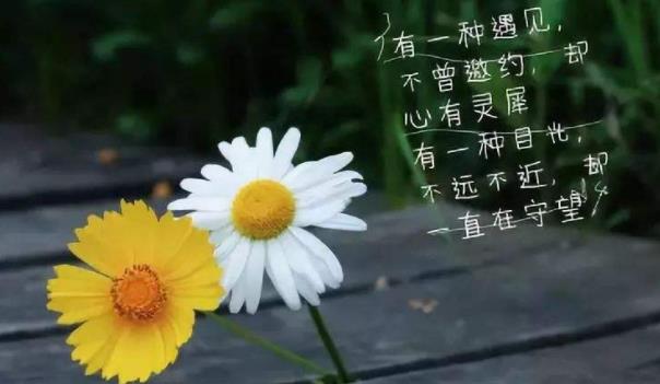 360截圖20220118205722700.jpg