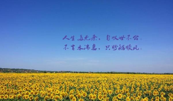 360截圖20220120194105071.jpg