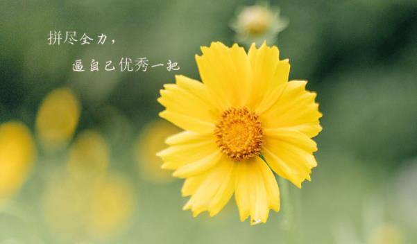 360截圖20220127185326988.jpg