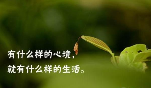 360截圖20220127202813271.jpg