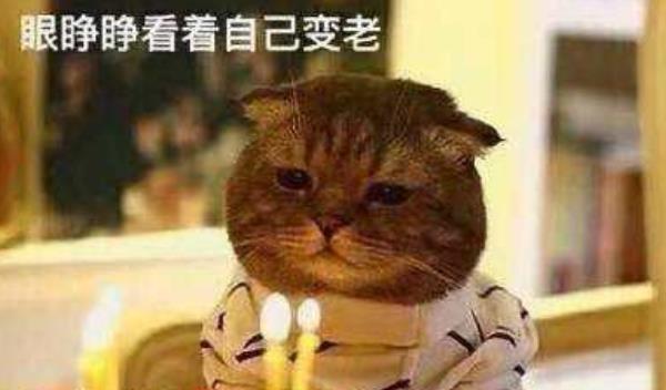 360截圖20220127233638459.jpg
