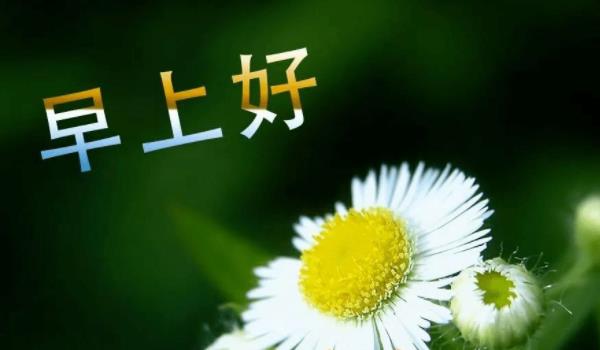 360截圖20220208225148457.jpg