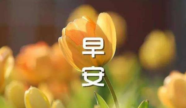 360截圖20220208231128320.jpg