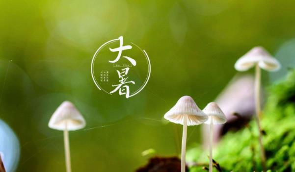 360截圖20220215232742827.jpg