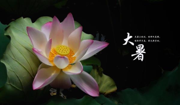 360截圖20220215232810434.jpg